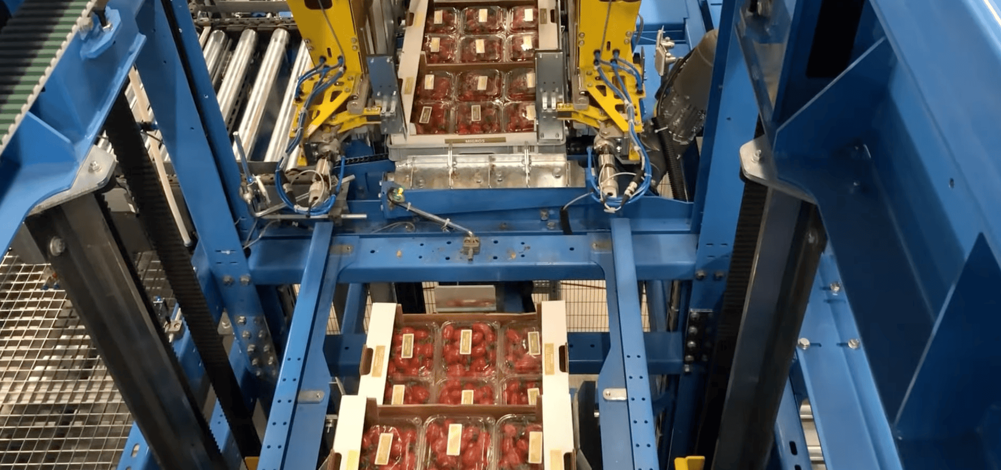 Depalettierung Von Kartons Aus Trays Mit Anschließender Stapelung